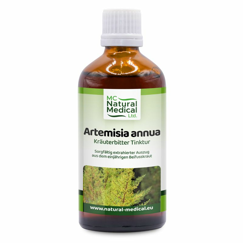 Artemisia Annua / one-year mugwort tincture 100ml - Herba Sale Ltd.